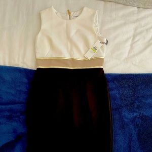 Calvin Klein classic dress